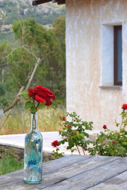Agriturismo Rubinu Galtellì Værelse billede